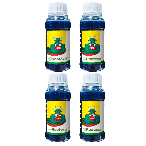 Rootexa™ FRCA