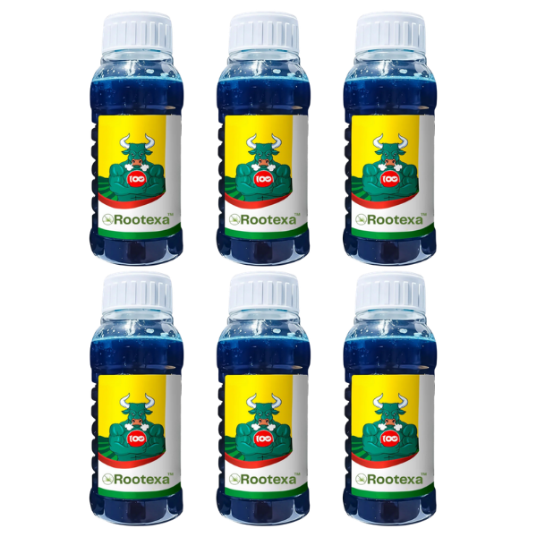 Rootexa™ FRCA