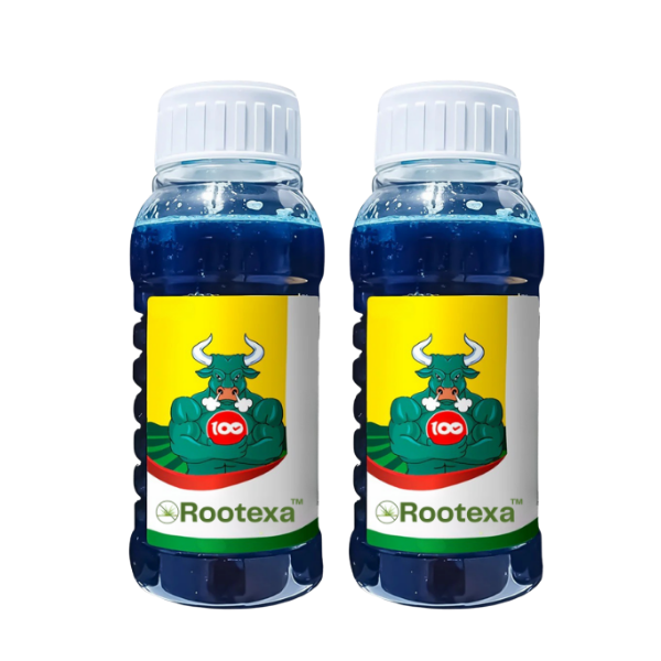Rootexa™ FRCA